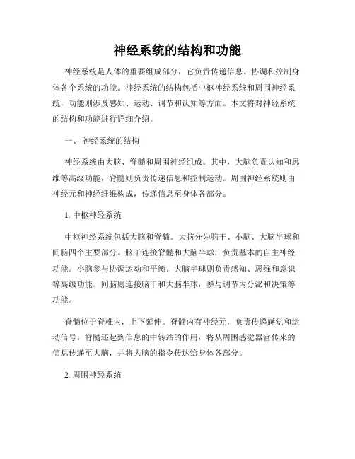 神经系统的结构和功能