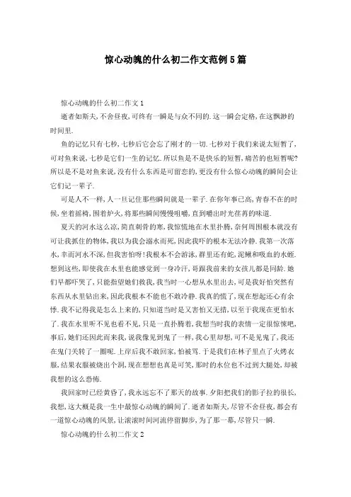 惊心动魄的什么初二作文范例5篇