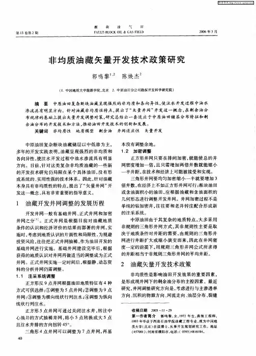 非均质油藏矢量开发技术政策研究