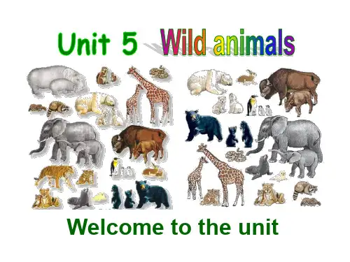 初二英语课件 Wild animals