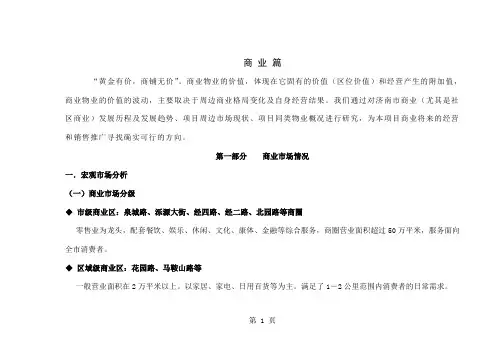 商业街项目建议书共41页word资料