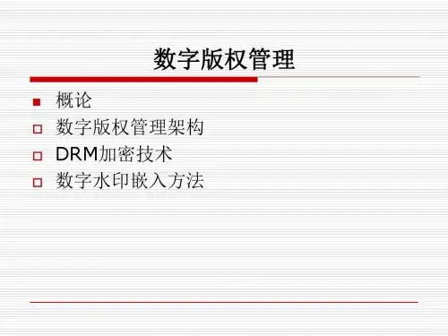 数字版权管理-PPT文档资料