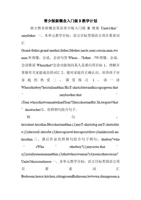 青少版新概念入门级B教学计划.doc