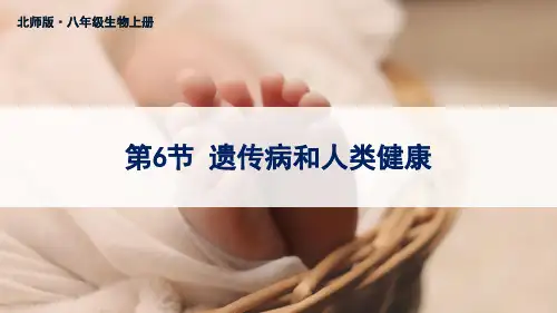 北师版 八年级生物上册第6节 遗传病和人类健康课件