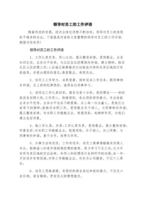 领导对员工的工作评语
