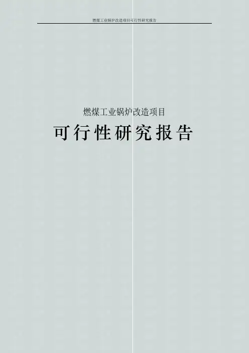燃煤工业锅炉改造项目可行性研究报告