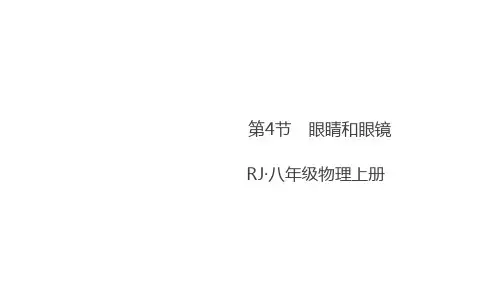 初中人教版《眼睛和眼镜》完美课件1