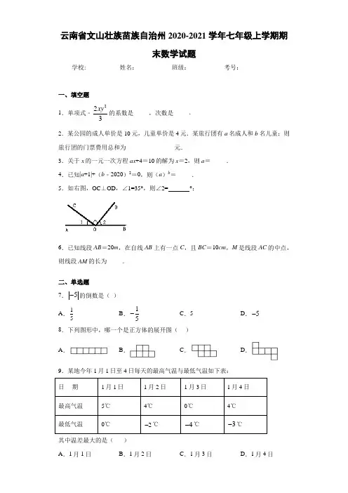 云南省文山壮族苗族自治州2020-2021学年七年级上学期期末数学试题