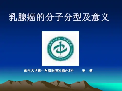 乳腺癌的分子分型.ppt