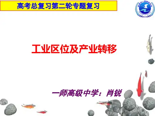 工业区位及产业转移讲解