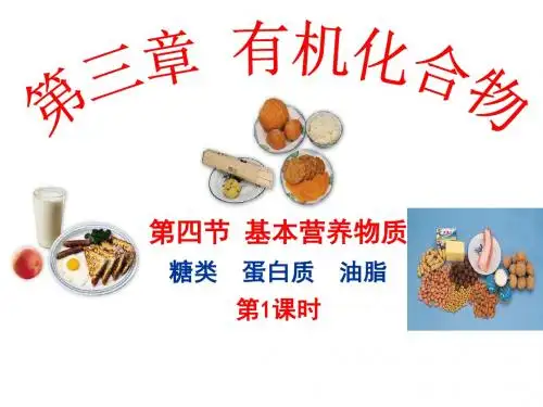 基本营养物质