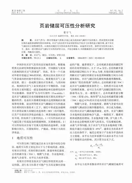 页岩储层可压性分析研究