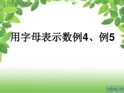 用字母表示数第四课时