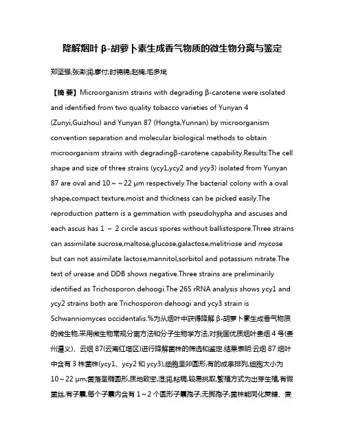 降解烟叶β-胡萝卜素生成香气物质的微生物分离与鉴定