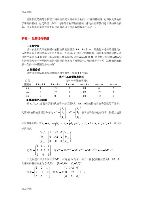 最新四种线性代数模型资料