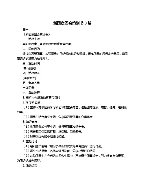 新团章团会策划书3篇
