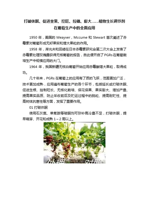 打破休眠、促进坐果、控旺、拉穗、膨大……植物生长调节剂在葡萄生产中的全面应用