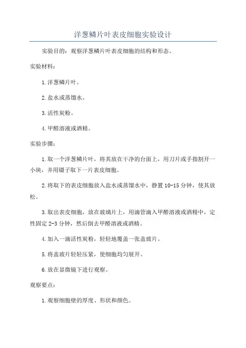洋葱鳞片叶表皮细胞实验设计