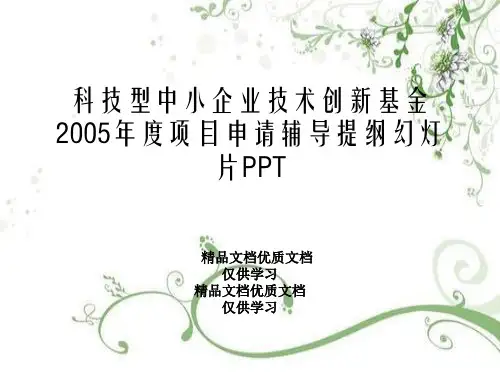 科技型中小企业技术创新基金2005年度项目申请辅导提纲幻灯片PPT