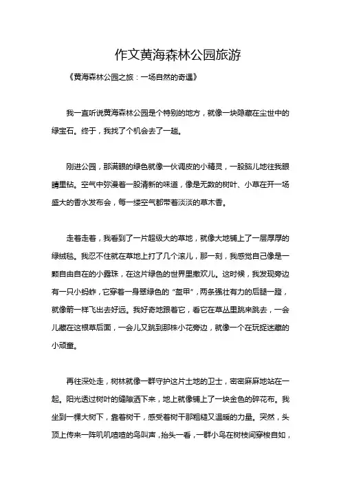 作文黄海森林公园旅游