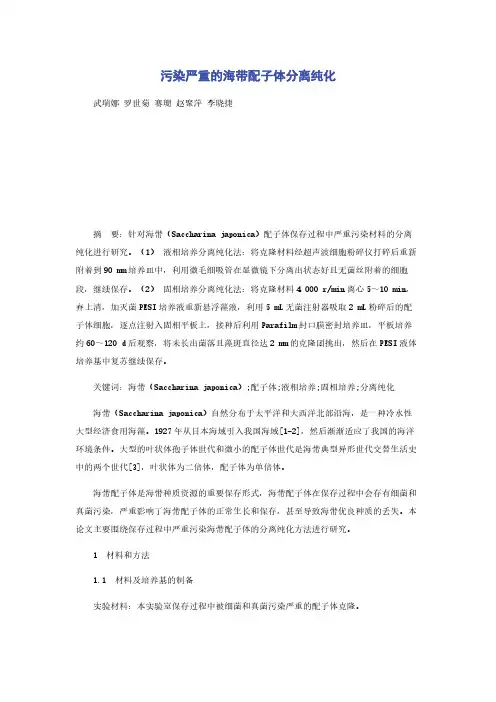 污染严重的海带配子体分离纯化