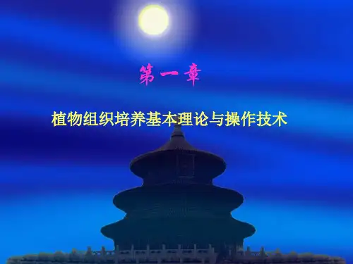 11商业性组织培养实验室的设计与主要设备.pptx