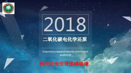 二氧化碳电化学还原[优质PPT]