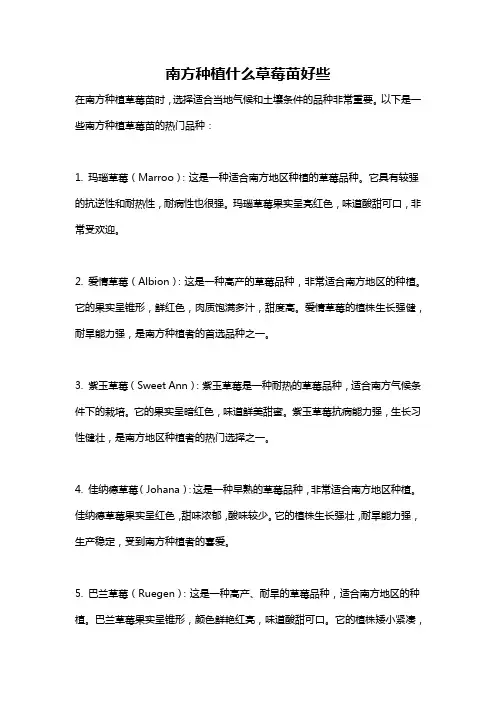 南方种植什么草莓苗好些