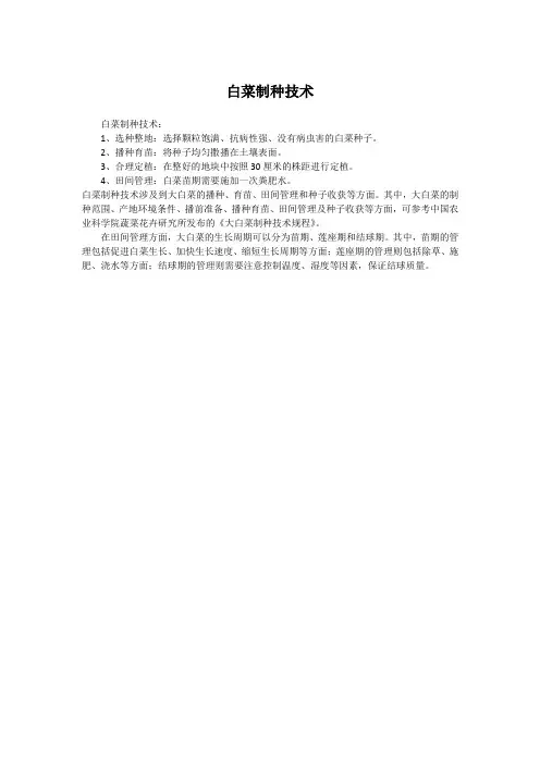 白菜制种技术
