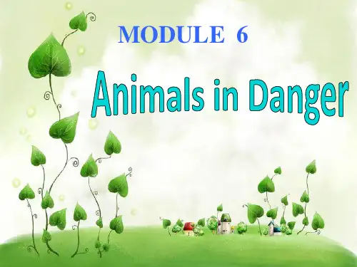 外研版必修五Module6-Animals-in-danger课件(共13张PPT)