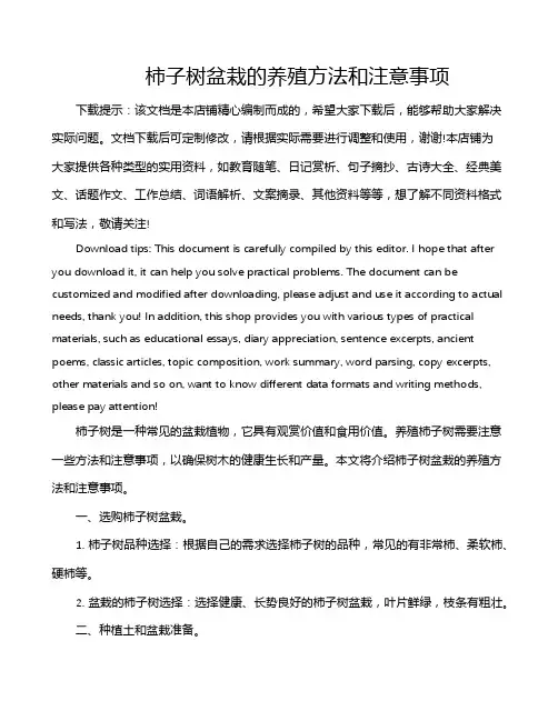 柿子树盆栽的养殖方法和注意事项