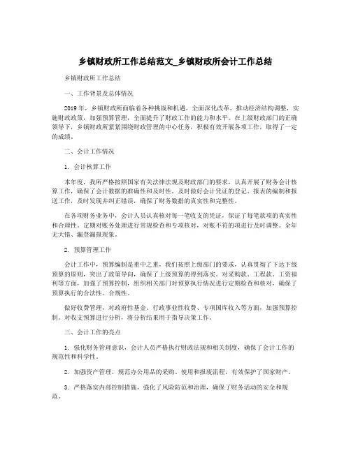 乡镇财政所工作总结范文_乡镇财政所会计工作总结