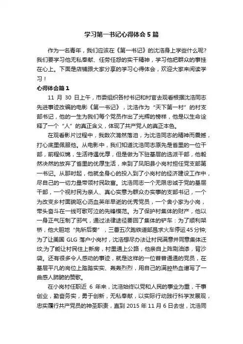 学习第一书记心得体会5篇