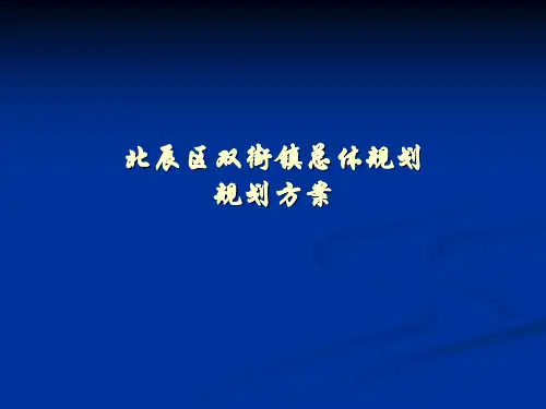 双街镇总体