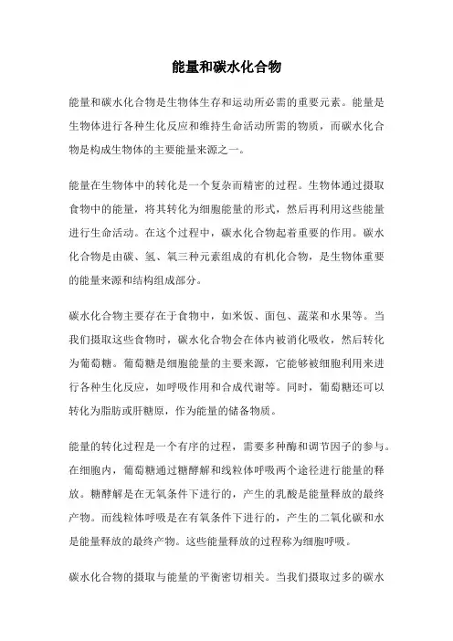 能量和碳水化合物
