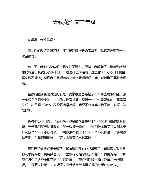 金银花作文二年级