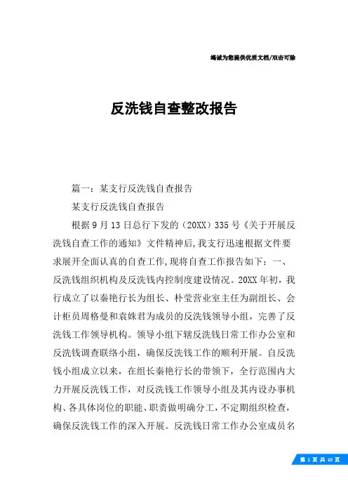 反洗钱自查整改报告