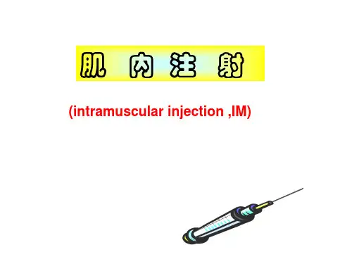 肌肉注射法.ppt