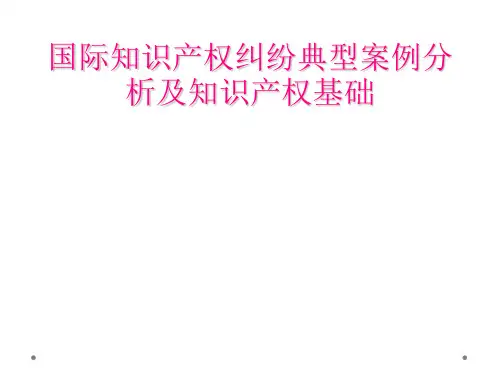 国际知识产权纠纷典型案例分析及知识产权基础