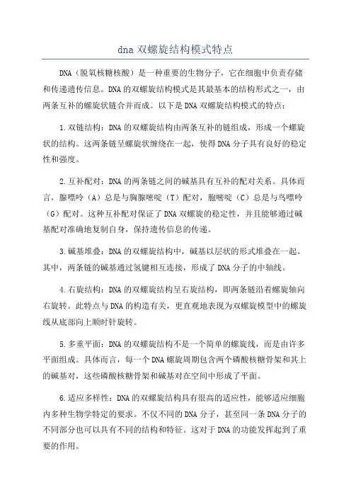 dna双螺旋结构模式特点