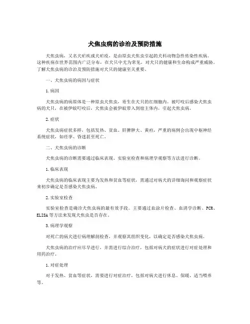 犬焦虫病的诊治及预防措施