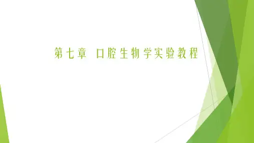 口腔生物学实验教程PPT课件