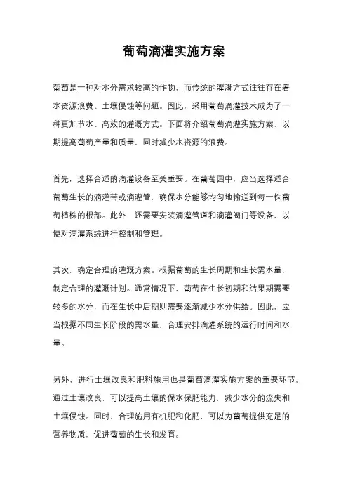 葡萄滴灌实施方案