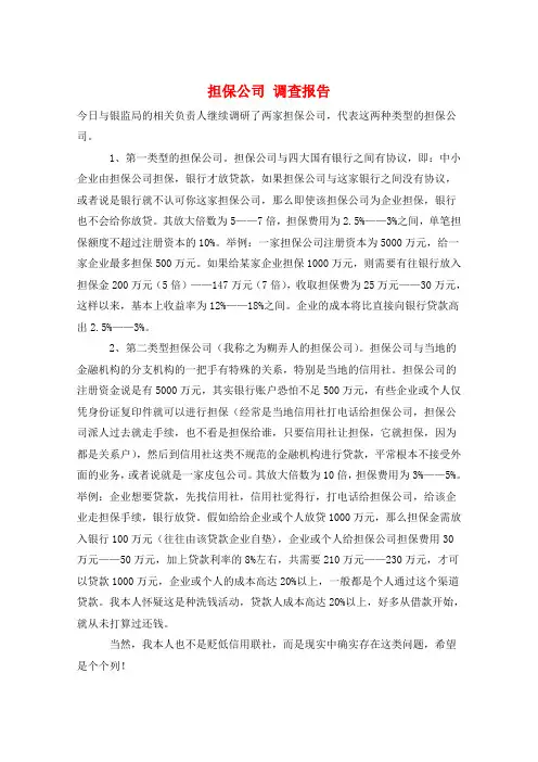 担保公司 调查报告