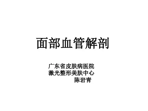 面部血管解剖