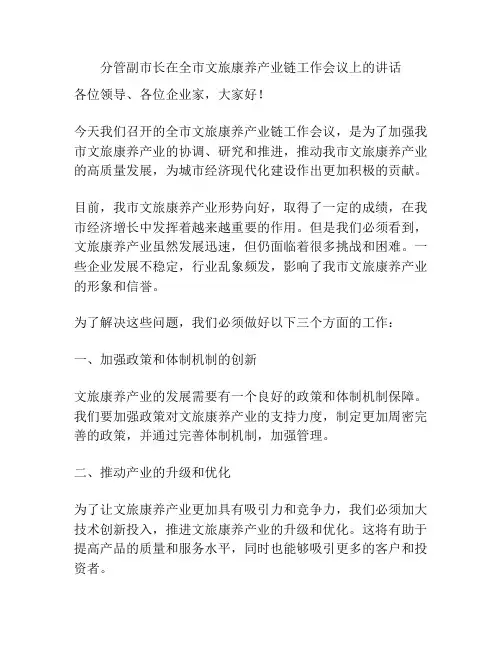 分管副市长在全市文旅康养产业链工作会议上的讲话
