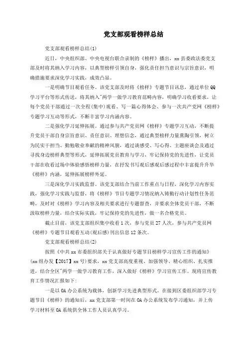 党支部观看榜样总结