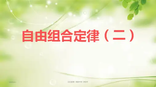 基因自由组合定律2