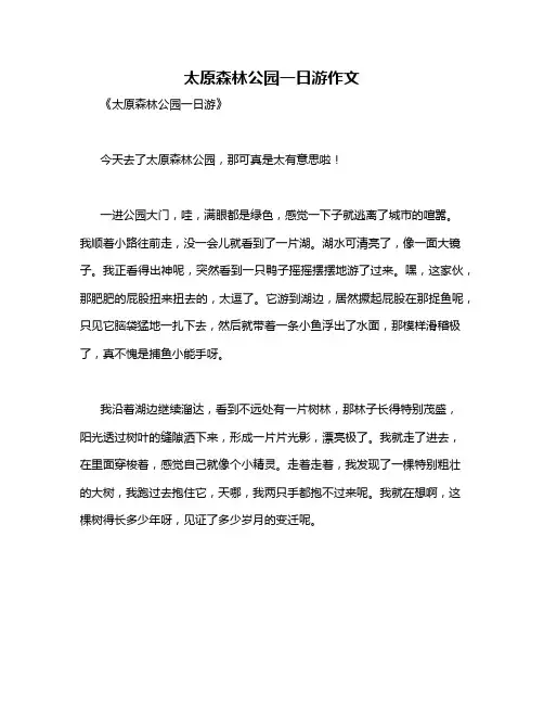 太原森林公园一日游作文