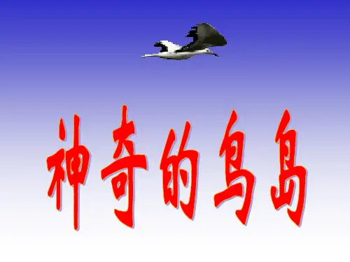 四年级语文下册 神奇的鸟岛 PPT课件 北京版